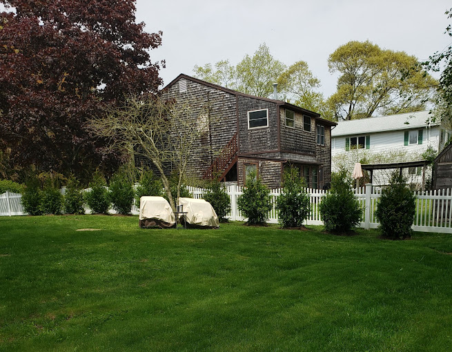 Evergreens adding year-round character to a New England yard